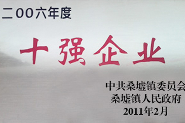 十强企业